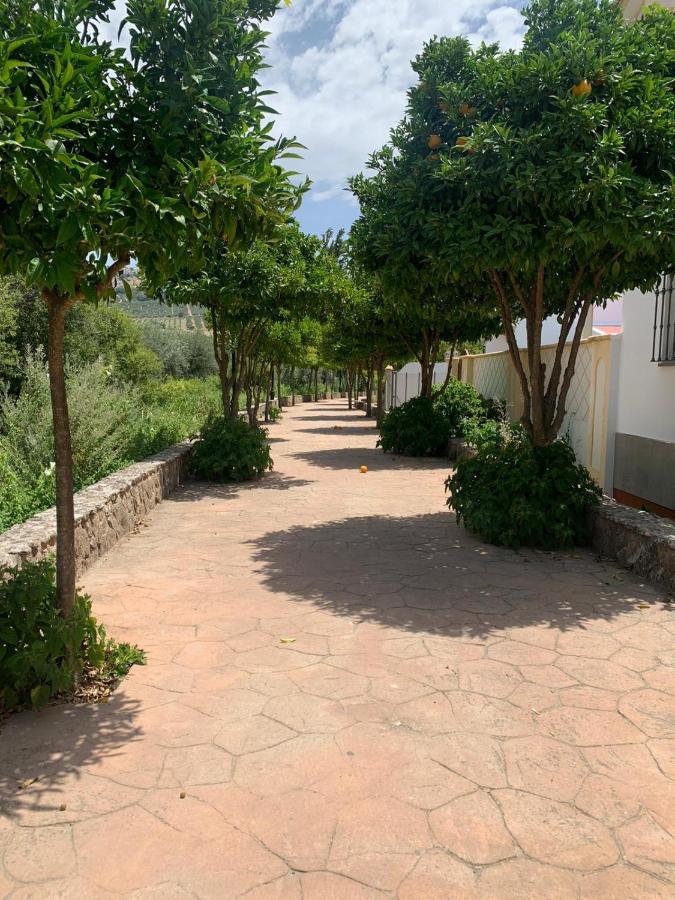 Apartamento En Cuevas Del Becerro Exterior photo